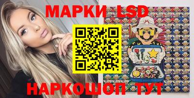 индика Пенза