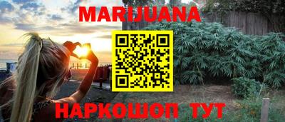 индика Пенза