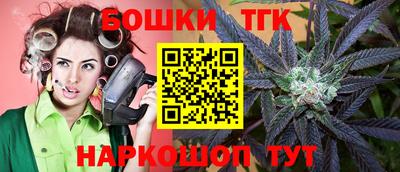 индика Пенза
