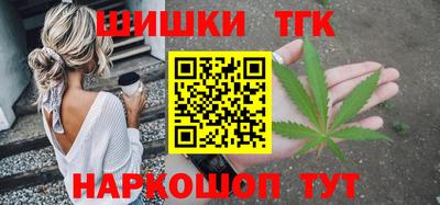 индика Пенза