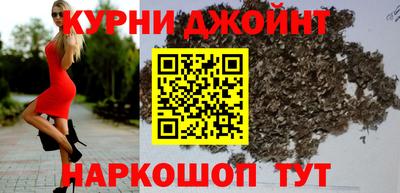индика Пенза