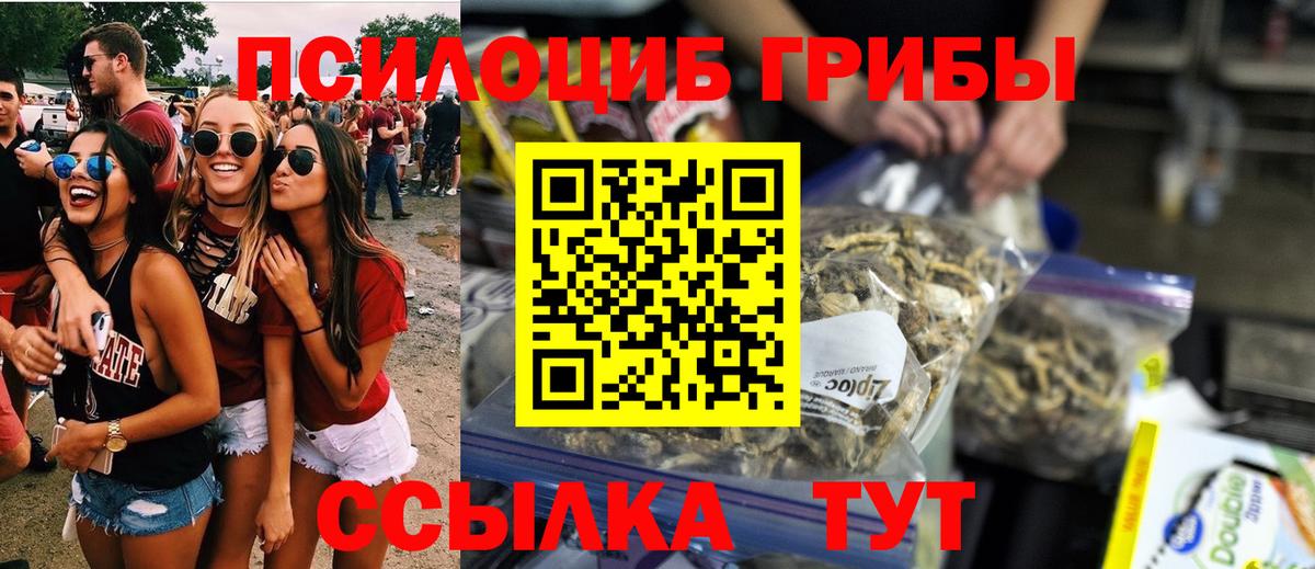 Арсеньев  Галлюциногенные грибы мицелий  Галлюциногенные грибы мухоморы  Вход с VPN 